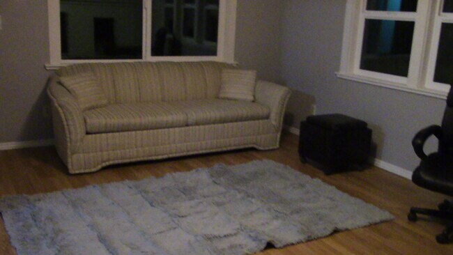 hide-a-bed couch - 2710 Oliver Ave