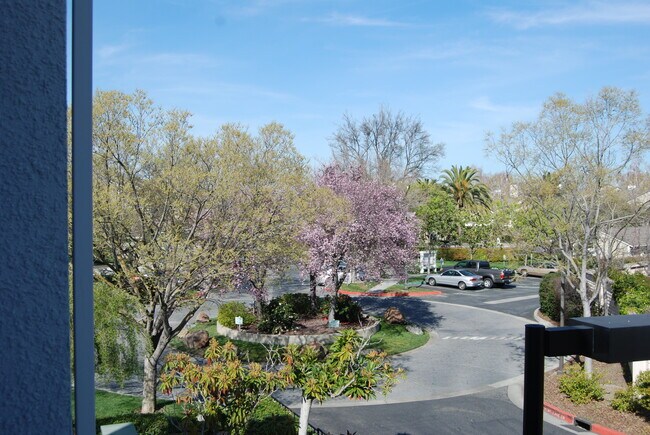 Building Photo - 930 Owens Lake Dr