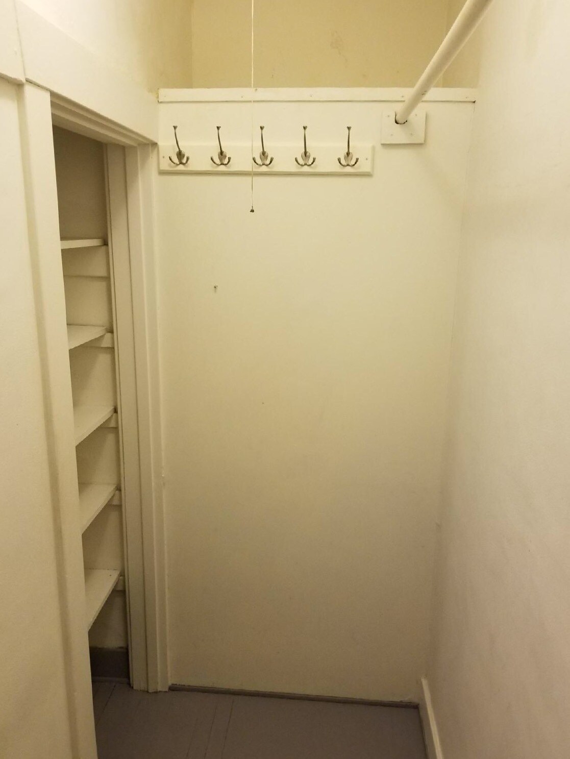 Large walk in closet - 236 W Michigan Ave