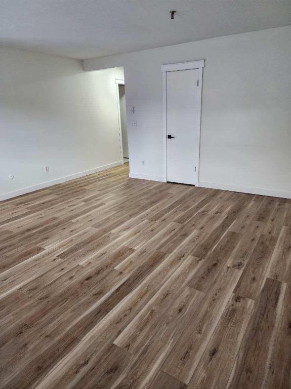 Building Photo - 91-95 Otsego St-Apt E