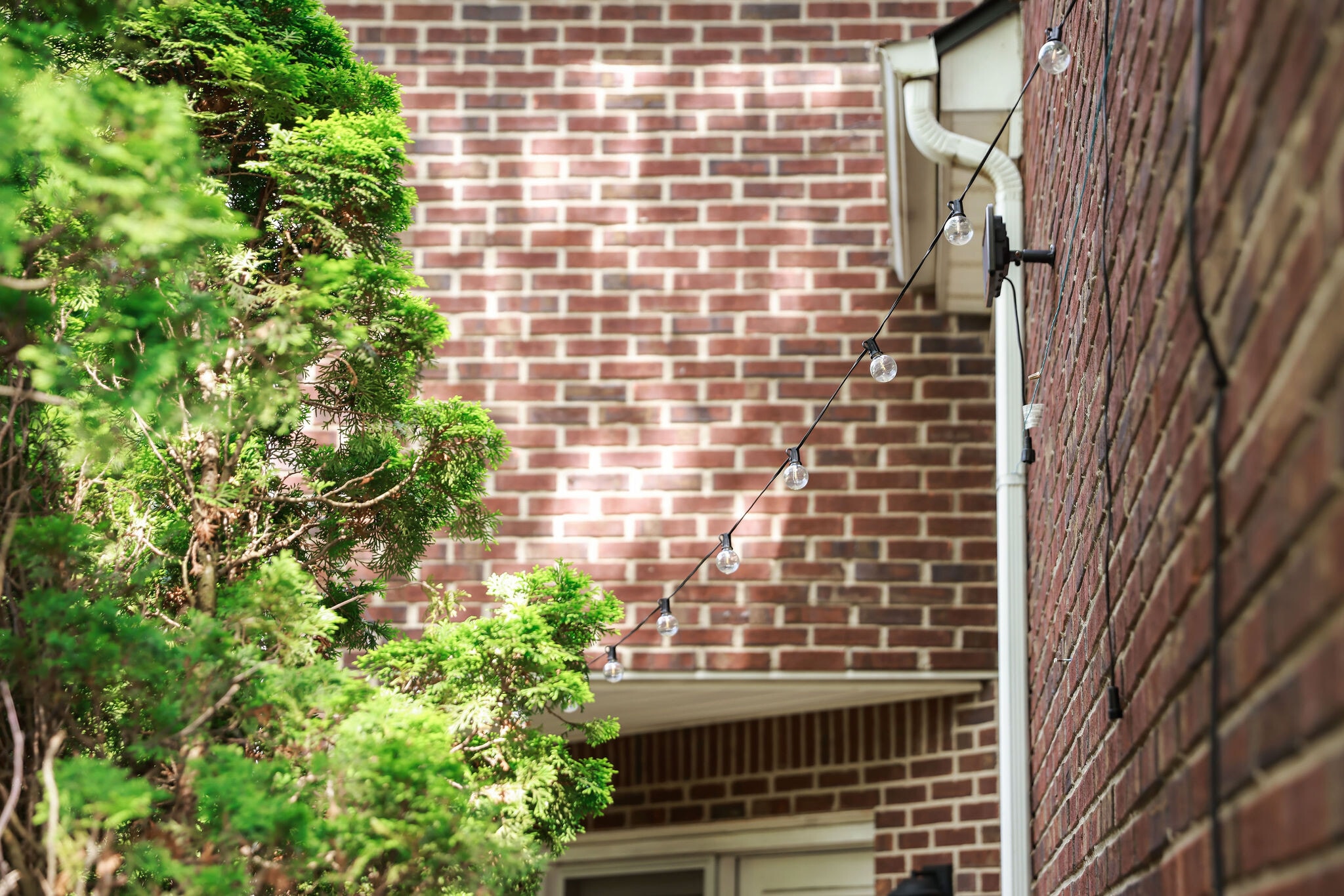 Building Photo - 3288 Snaffle Rd