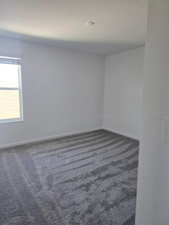 Building Photo - 2330 Amorie Dr