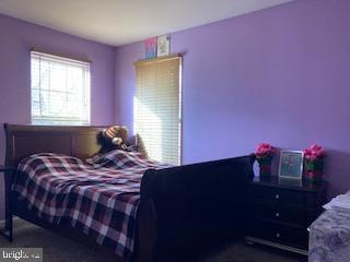 Building Photo - 305 Bristal Pl