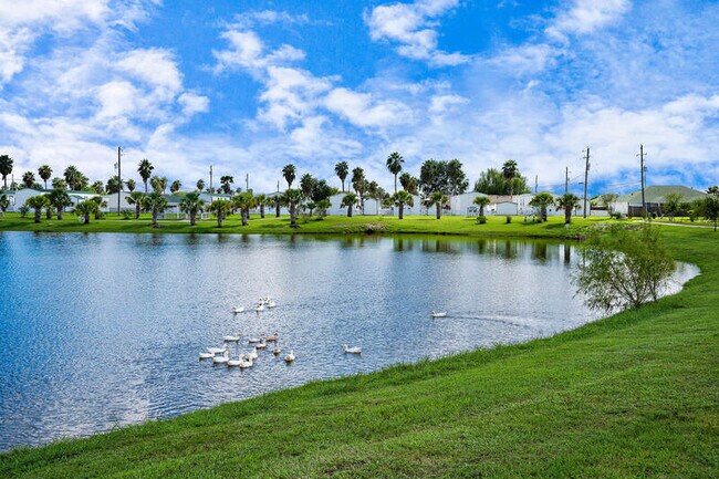 Building Photo - 5133 Caicos Calle