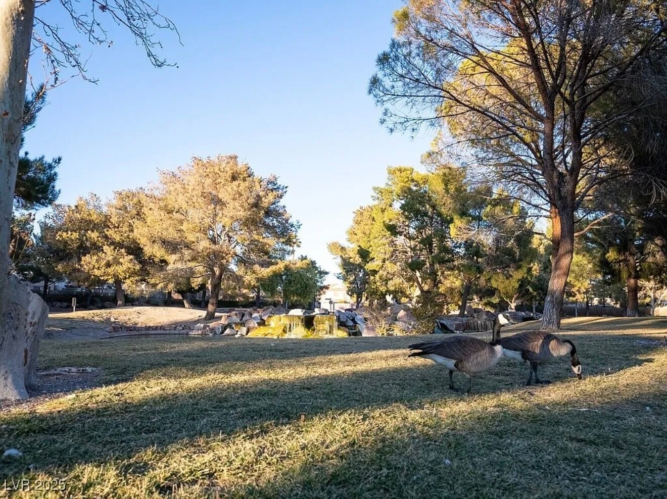 The Lakes - 2801 Willow Wind Ct