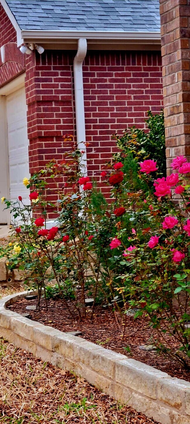 Building Photo - 9108 Brinson Dr