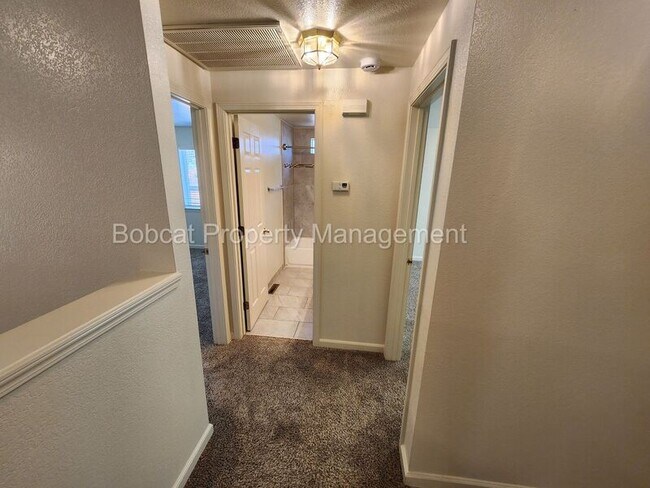 Building Photo - 1331 Chichester Dr