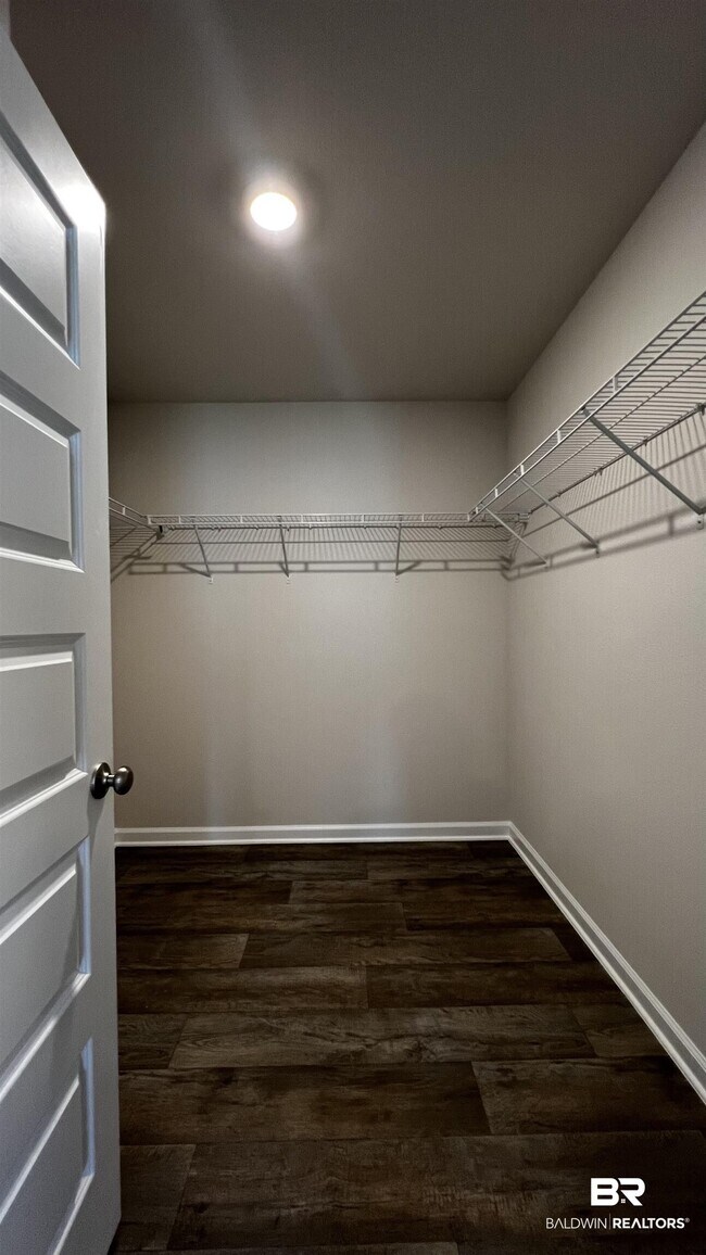 Building Photo - 11207 Elemis Dr