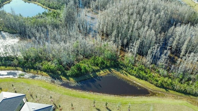 Building Photo - 17216 Mango Shay Ct