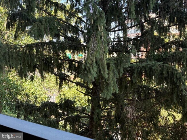 Building Photo - 1101 S Arlington Ridge Rd