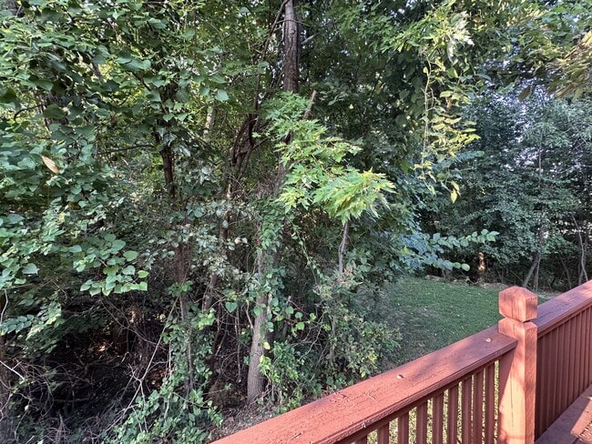 Building Photo - 413 Blake Anthony Dr