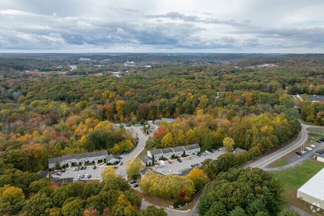 Aerial Context 2 - Norwich Woods