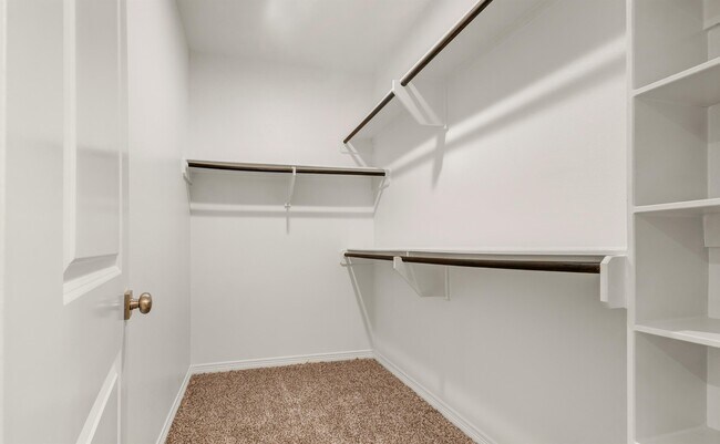 Building Photo - 1415 Scott St
