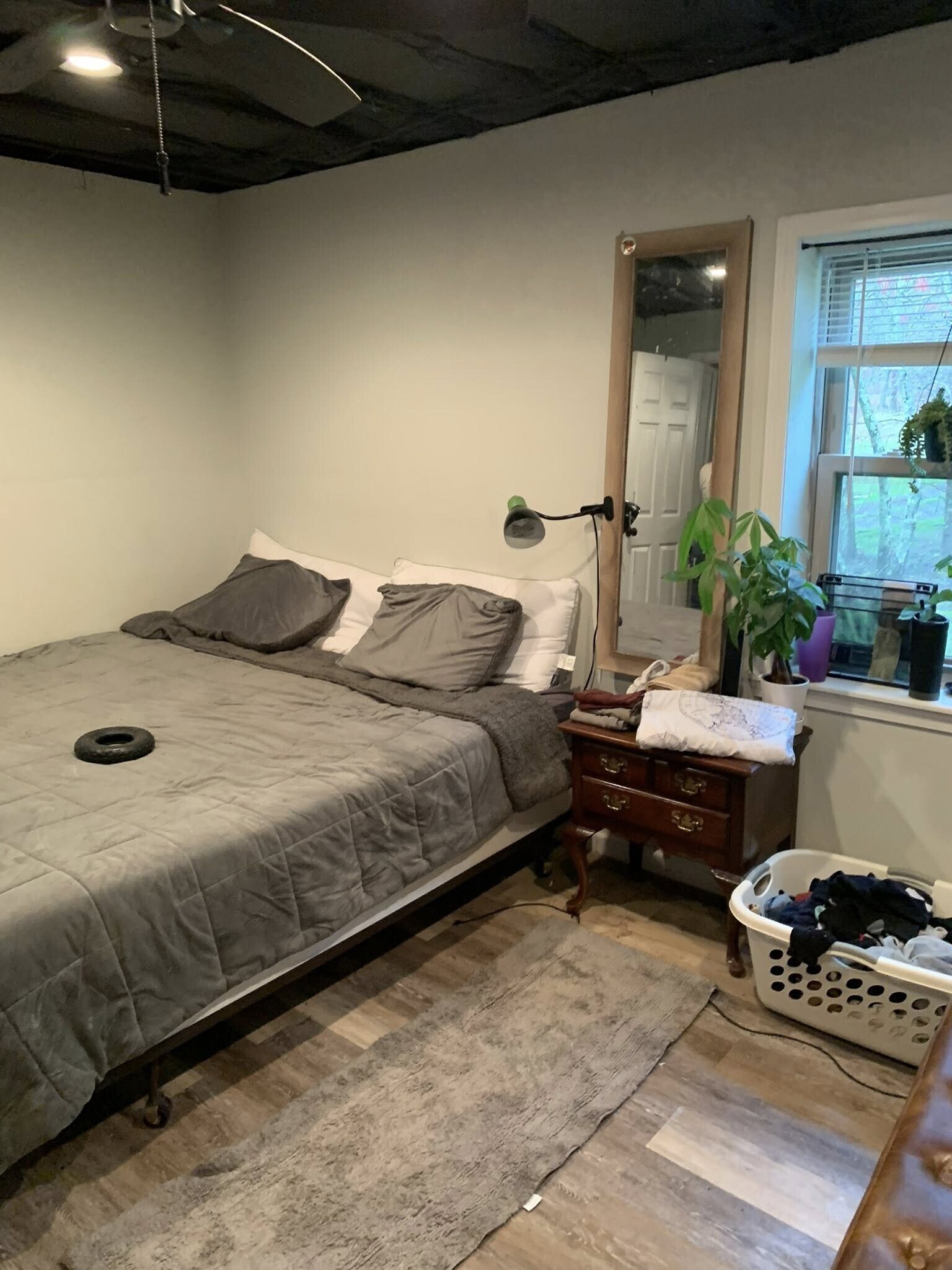 Downstairs bedroom -King - 3393 Mobile Rd