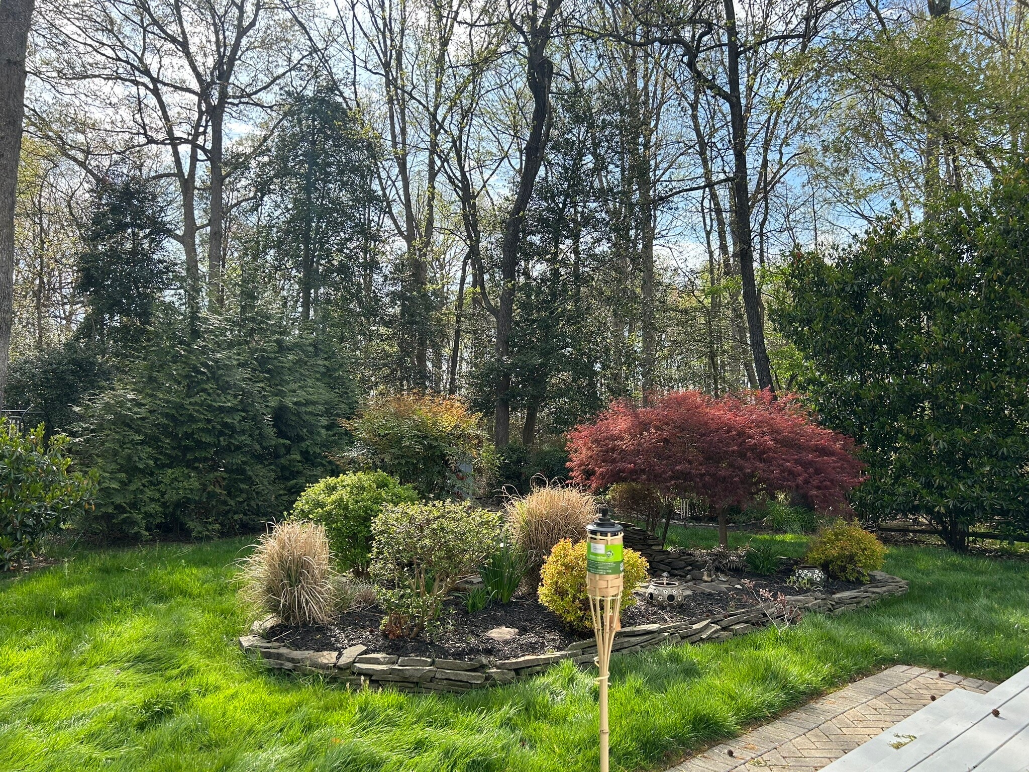 Backyard - 6610 Cottontail Ct