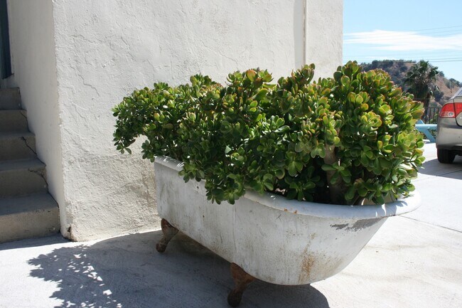 Building Photo - Large Studio close to DTLA, Pasadena, Glen...