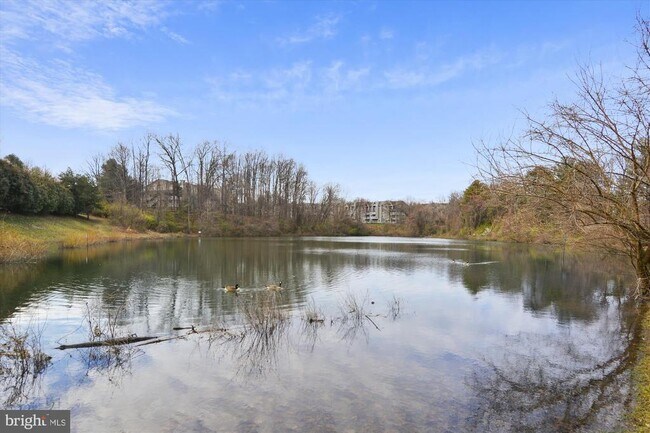 Building Photo - 10940 Brewer House Rd