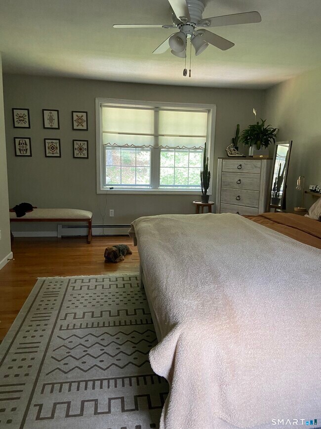 Building Photo - 237 Chestnut Hill Rd