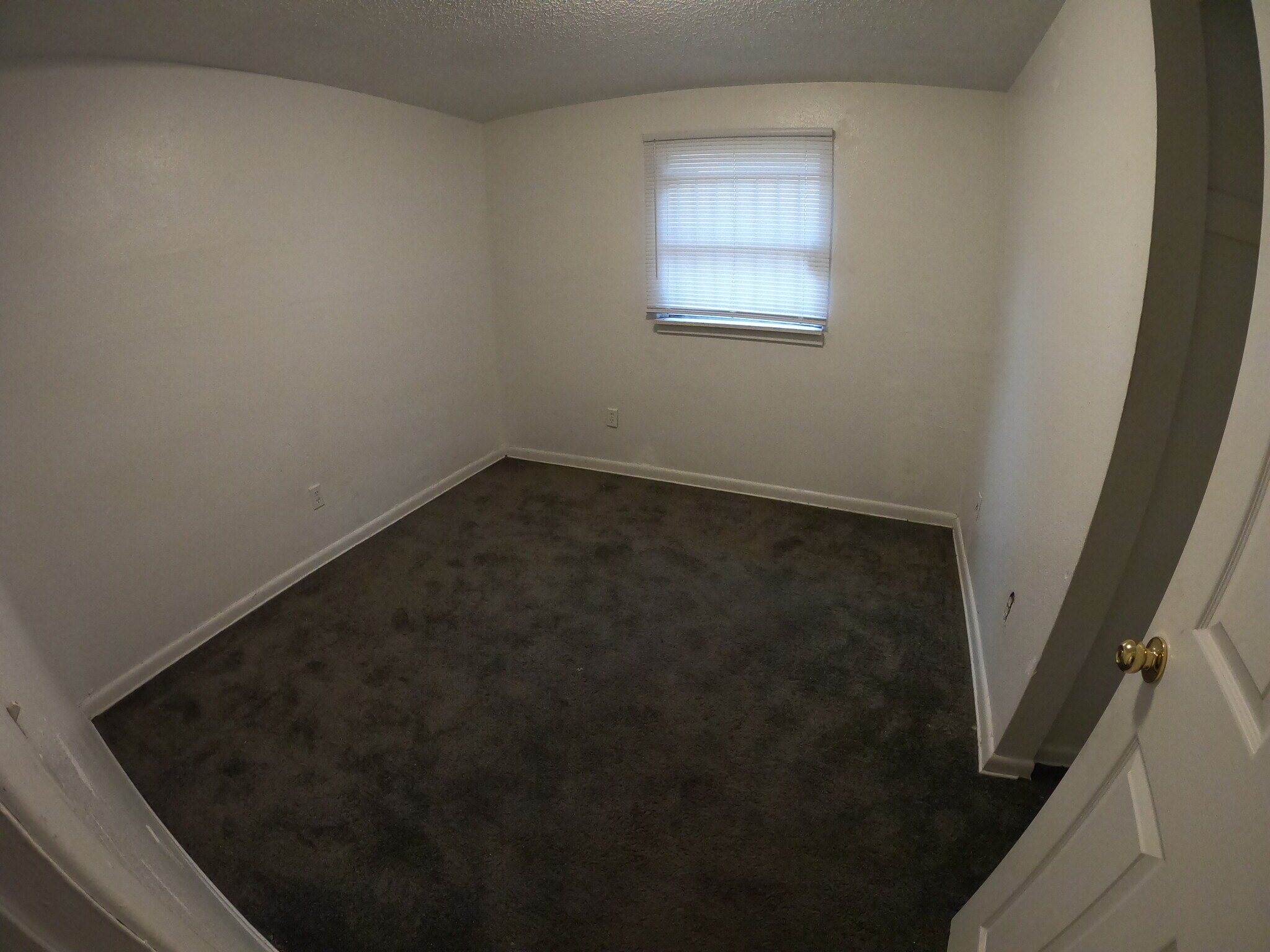 Building Photo - 3332 Rayford Street