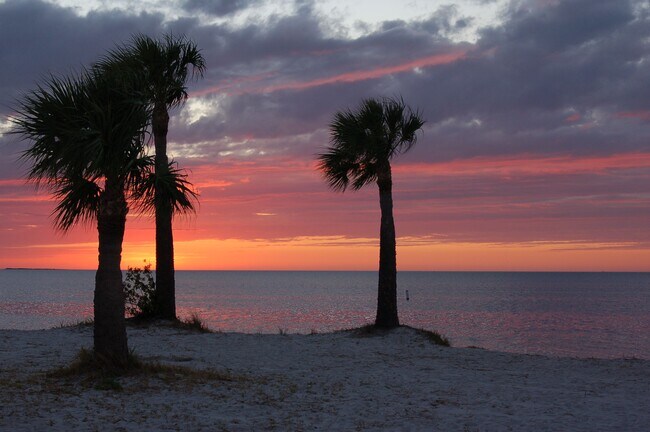 Building Photo - 39248 US Hwy 19 N