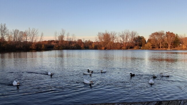 Building Photo - 11719 21 Mile Rd