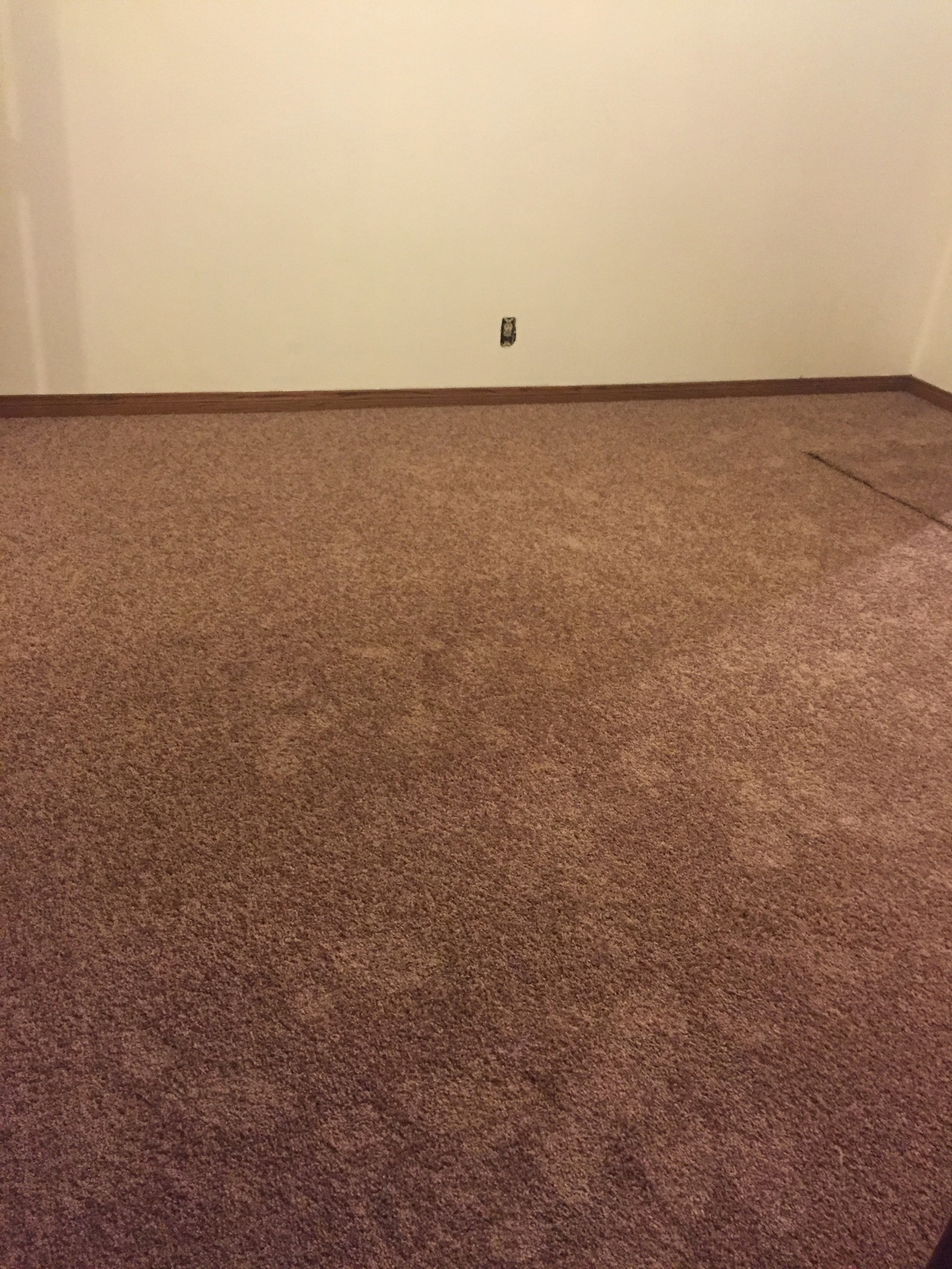 Neutral Color Carpet - 13215 Ottoman St