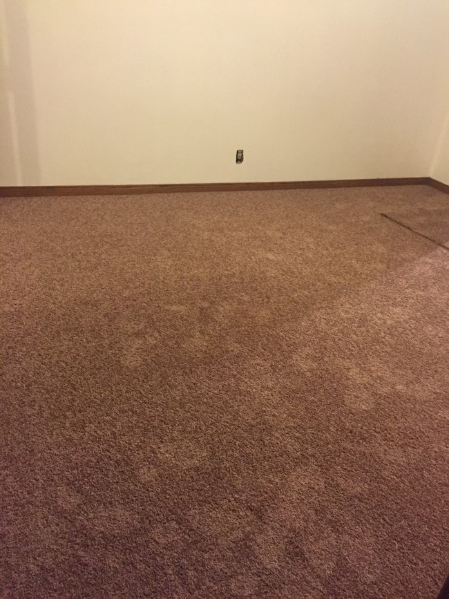 Neutral Color Carpet - 13215 Ottoman St