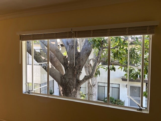 Courtyard Tree - 3181 S Barrington Ave