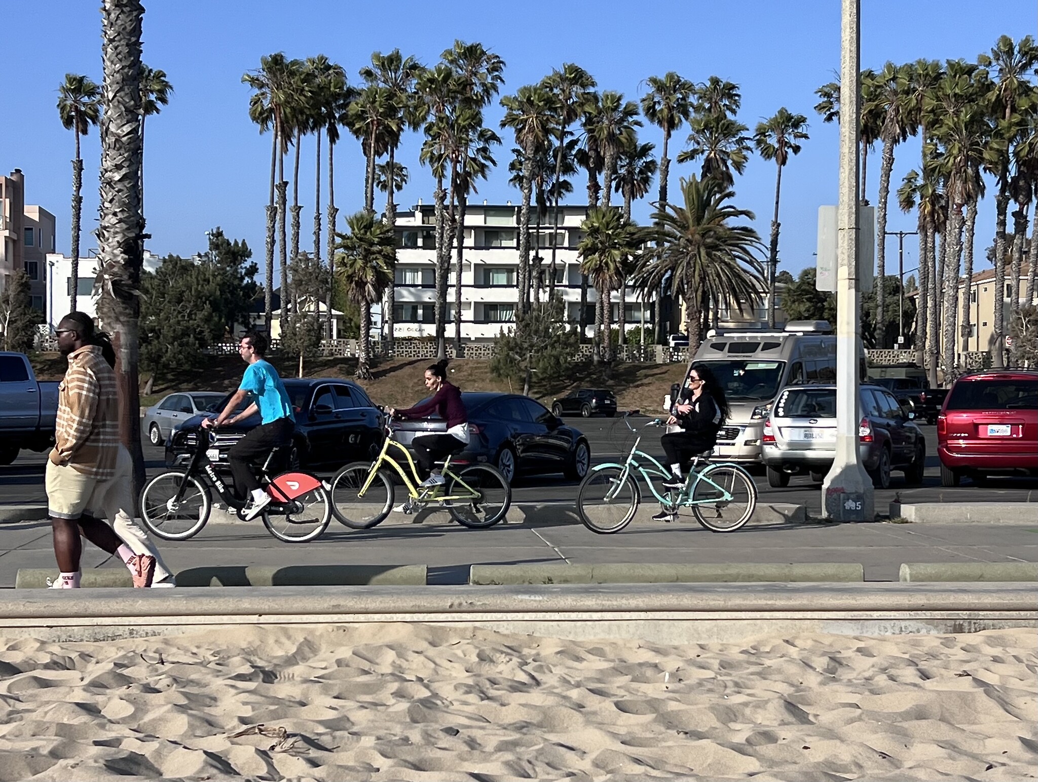 The bike path out front of 2221 Ocean Ave. - 2221 Ocean Ave