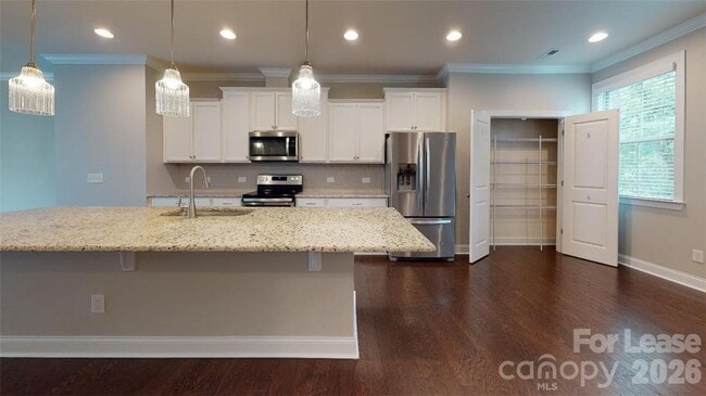 Building Photo - 1220 Madison Towns Ln