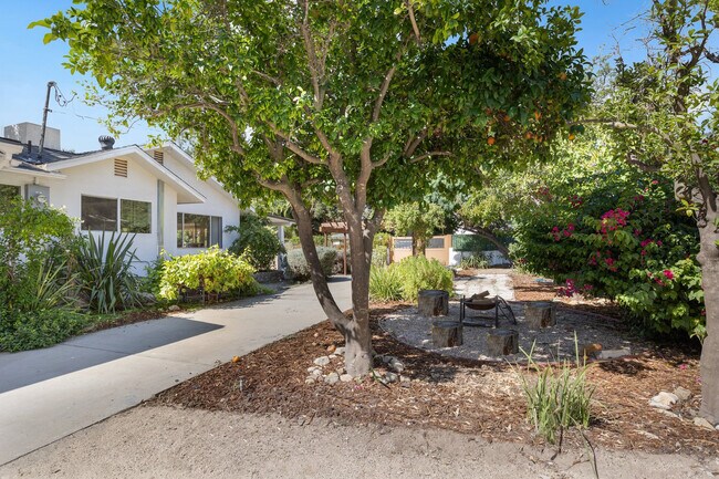 Right side yard has grapefruit tree, plumb and grapes - 228 N Pueblo Ave