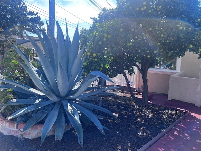 Building Photo - 8109 Ney Ave