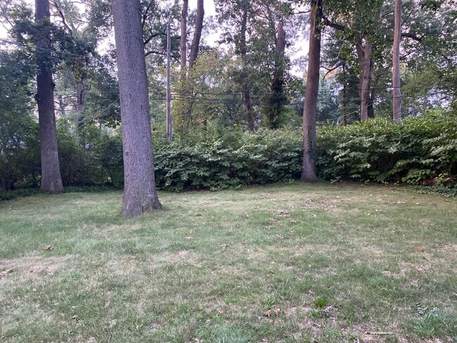 Building Photo - Gorgeous 2 bedroom1 bathoom mid-centutry r...