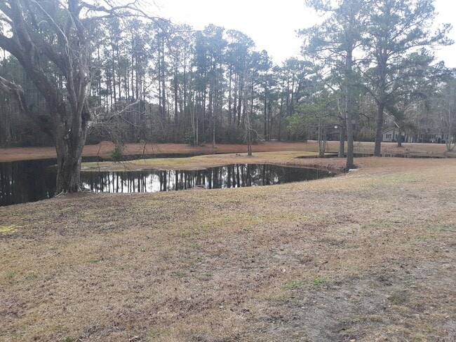 Building Photo - 804 Gull Ln