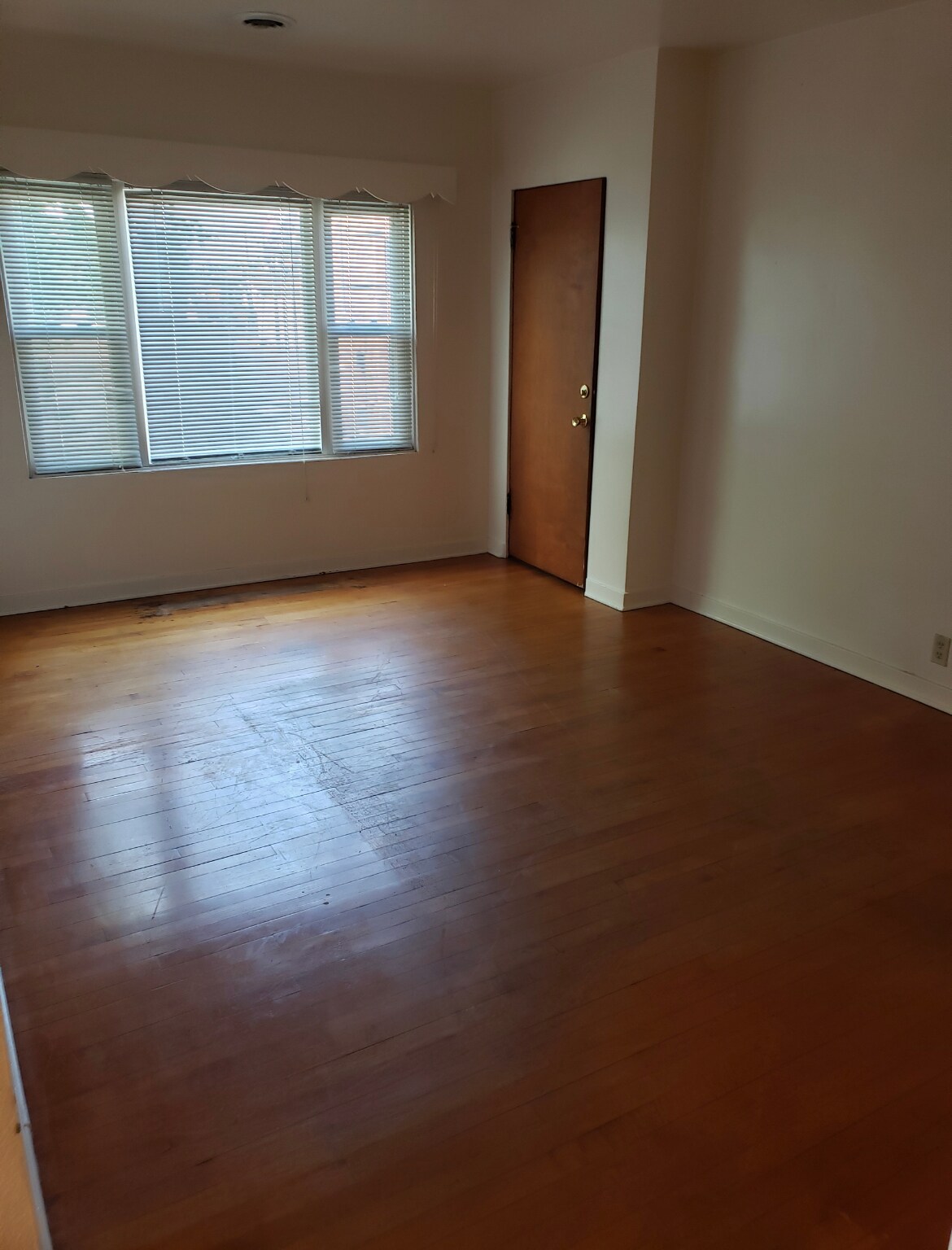 Living room space with window view - 713 John St