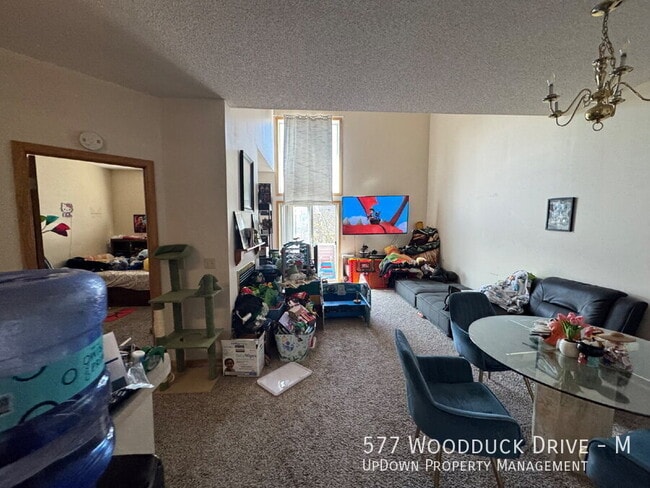 Building Photo - 577 Woodduck Dr