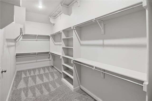 Building Photo - 3648 Zellwood Ln