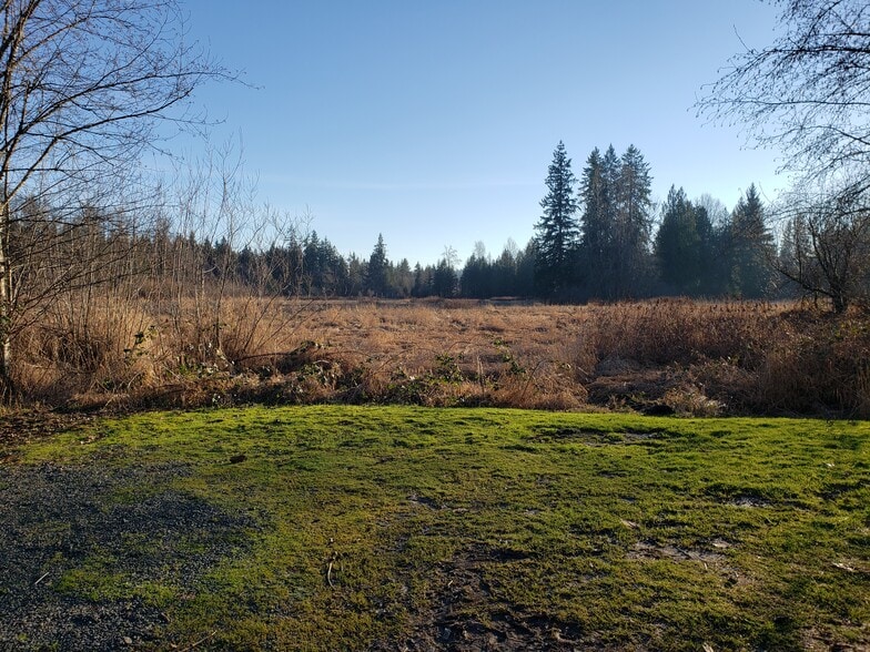 Empty field next door - 504 Alder Plz