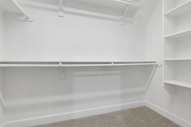 Building Photo - 5166 Oasis Park Ln