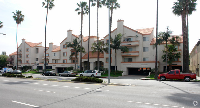 Building Photo - Palm Terrace