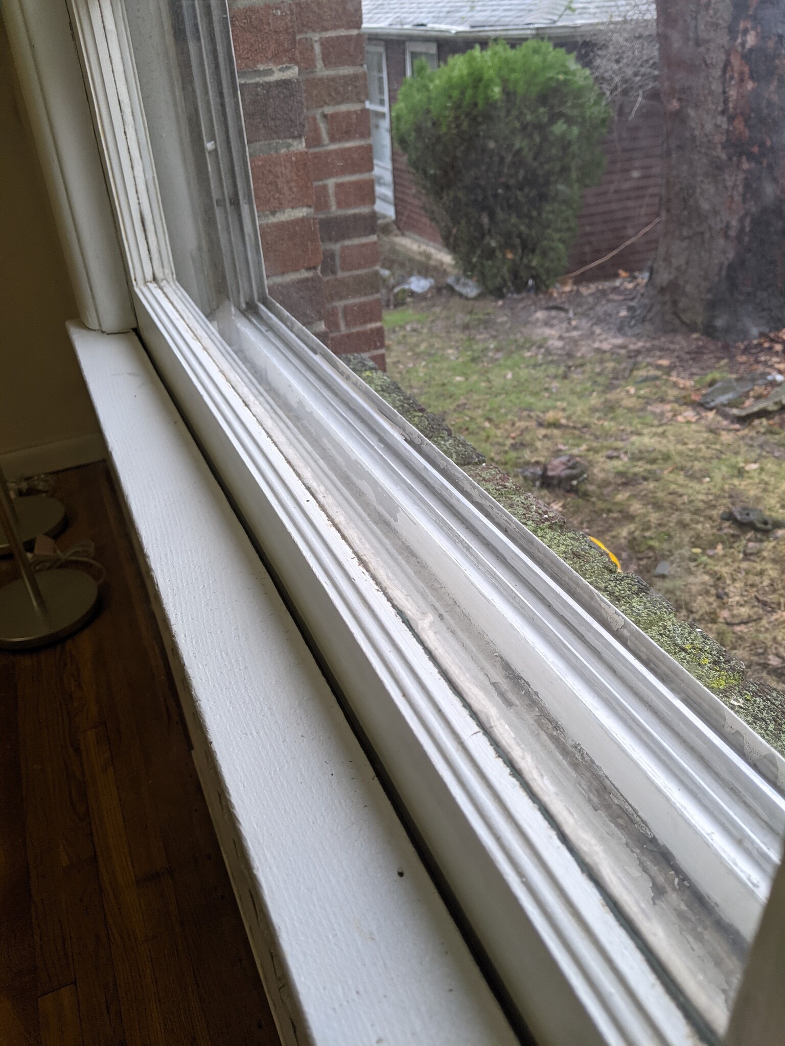 Building Photo - 639 Oakdene Ave