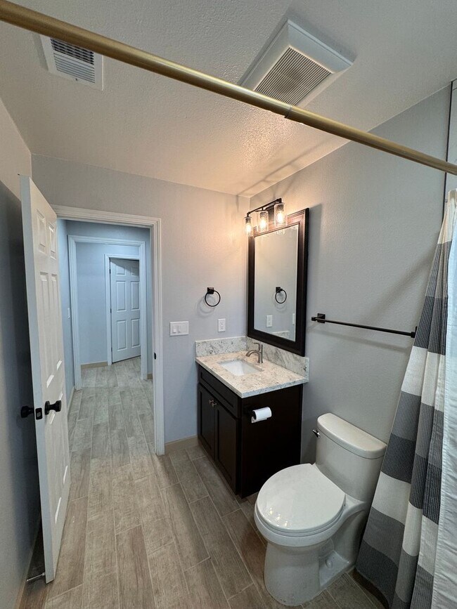 Building Photo - Newly Remodeled 2 Bedroom, 2 Bath Back House