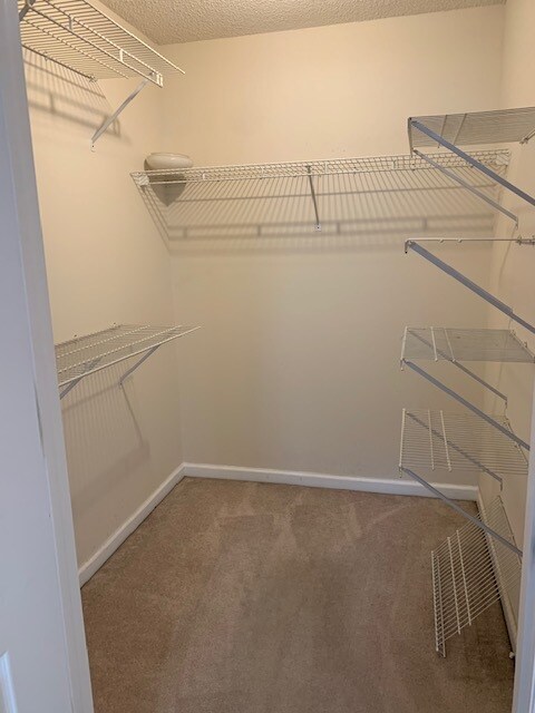 Building Photo - 5079 Mint Hill Ct