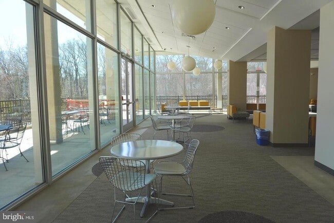 Building Photo - 4600 S Four Mile Run Dr