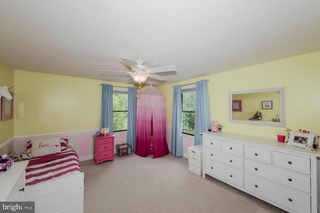 Building Photo - 6135 Waterloo Rd