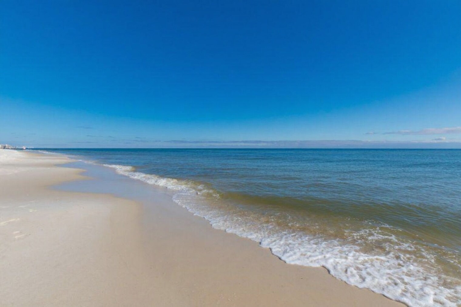 Building Photo - 24400 Perdido Beach Blvd