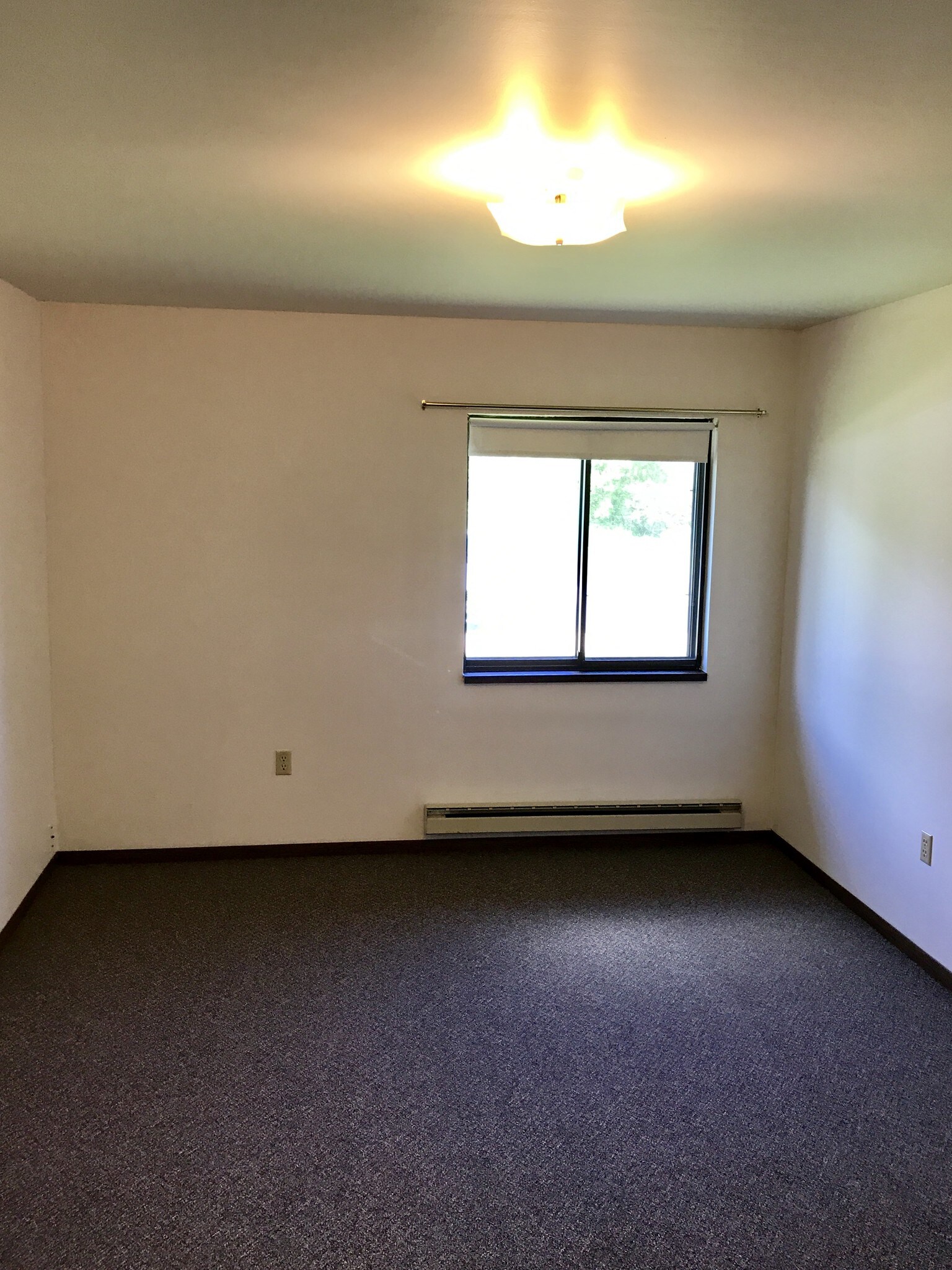 Building Photo - 313 3rd St