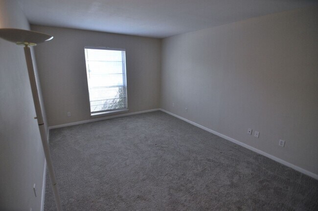 Building Photo - Beautiful Austin condo in amazing location!