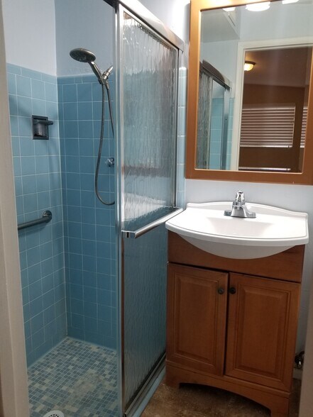 Master bathroom with enclosed shower - 4342 N Radin Ave