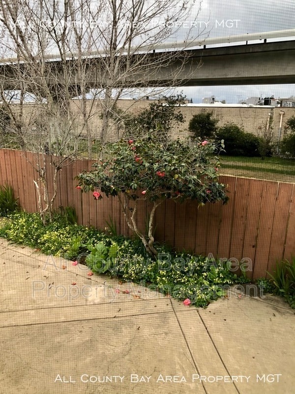 Building Photo - 1031 Ranchito Ct